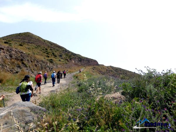 Fin de año Cabo de Gata (Nochevieja) - Imagen 13