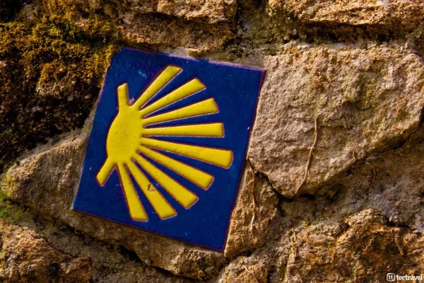 Camino Santiago Francés en grupo