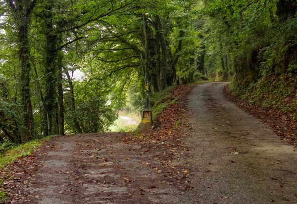 Camino Santiago Francés en grupo - Imagen 4
