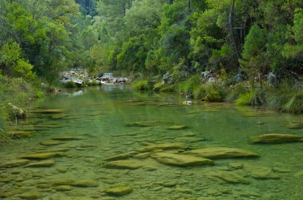 La Berrea en Cazorla - Imagen 2