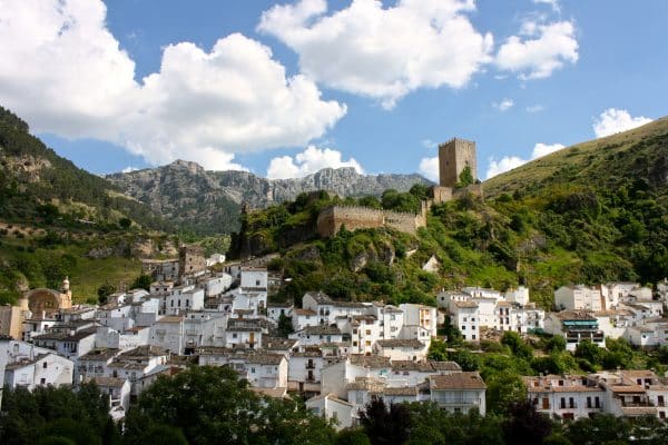 La Berrea en Cazorla - Imagen 3