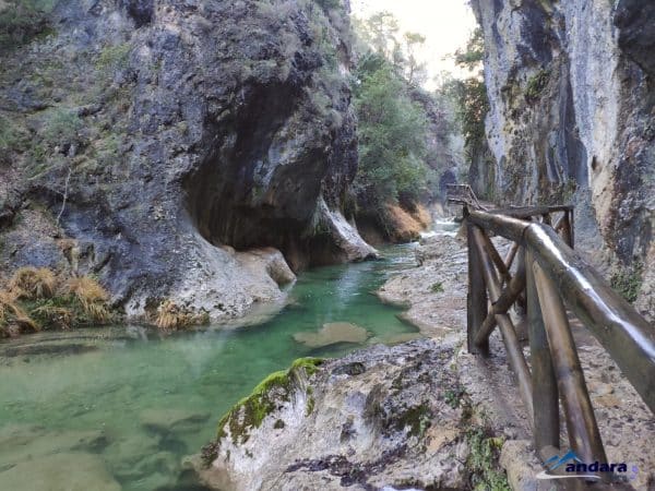 La Berrea en Cazorla - Imagen 6