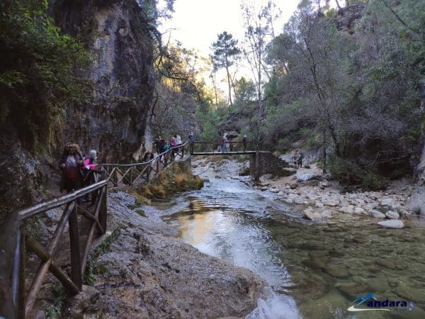 La Berrea en Cazorla - Imagen 8