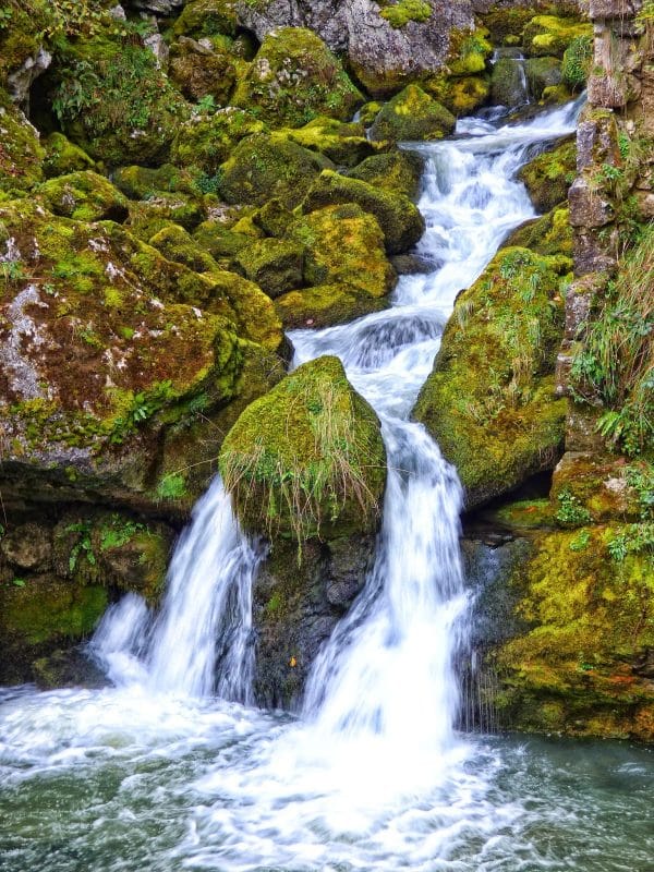 Selva de Irati y bosques navarros - Imagen 3