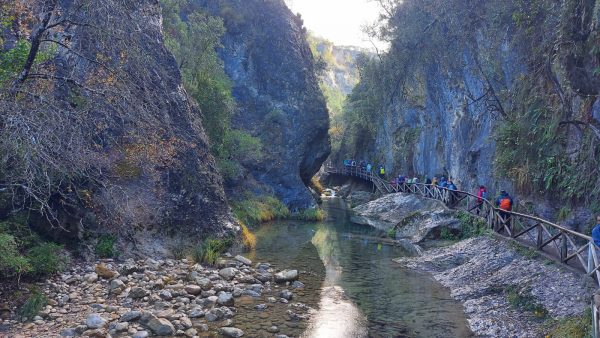 La Berrea en Cazorla - Imagen 5