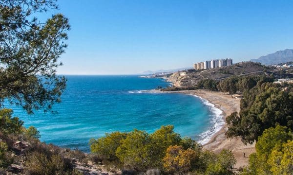 Fin de año Costa Blanca Alicante - Imagen 17