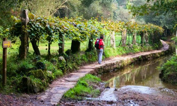 Camino Portugués en grupo - Imagen 4