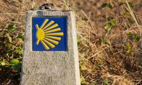 Camino Portugués en grupo