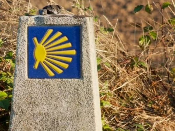 Camino Portugués en grupo