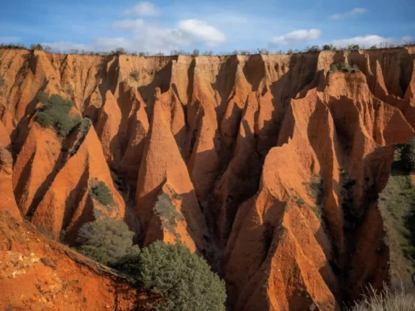 Cárcavas del Pontón de la Oliva