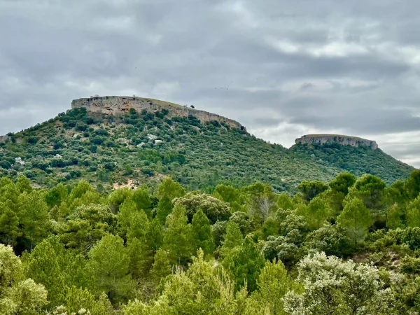 Tetas de Viana y Trillo
