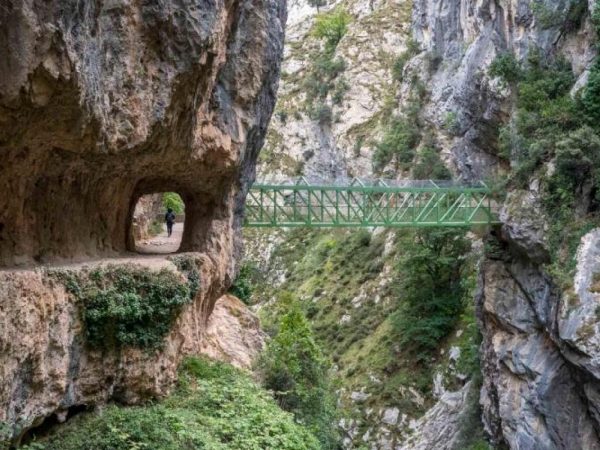 Picos de Europa y Costa de Llanes (próximamente)