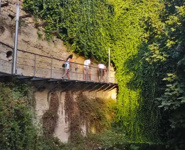 La Berrea en Cazorla - Imagen 16