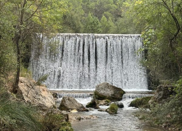 La Berrea en Cazorla - Imagen 12