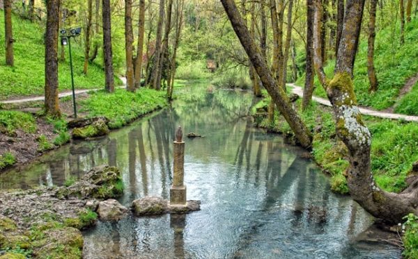 Bosques de Cantabria - Imagen 2