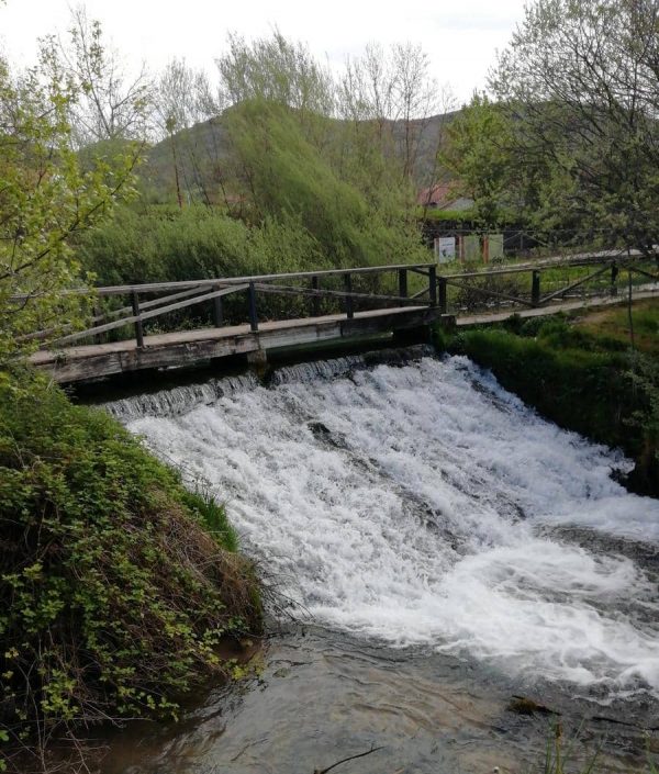 Bosques de Cantabria - Imagen 3
