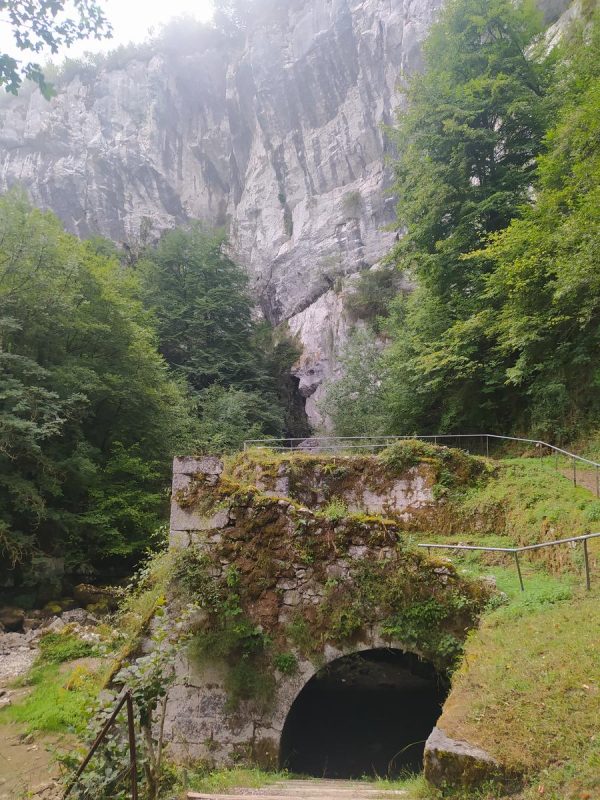Selva de Irati y bosques navarros - Imagen 2