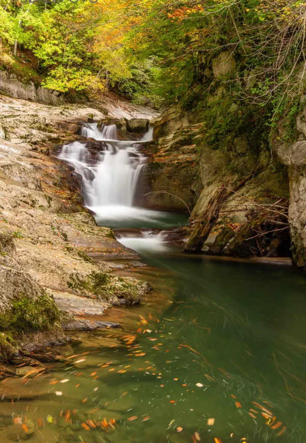 Selva de Irati y bosques navarros - Imagen 5