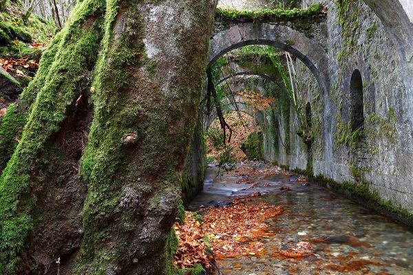 Selva de Irati y bosques navarros - Imagen 7