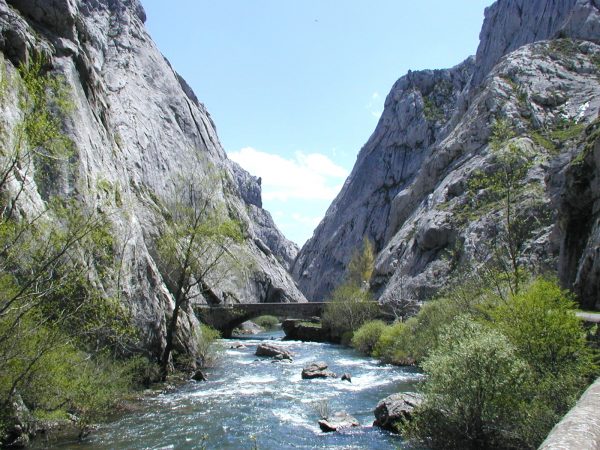 Valporquero y Hayedos de León - Imagen 3