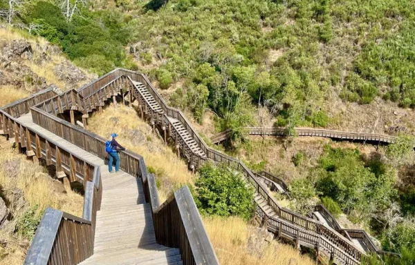 Serra da Estrela y Pasarelas de Mondego - Imagen 4